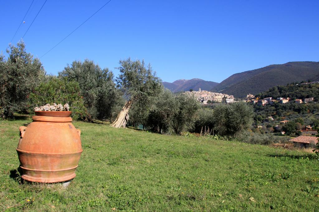 B&B Colle Perrini Country House Casperia Eksteriør billede