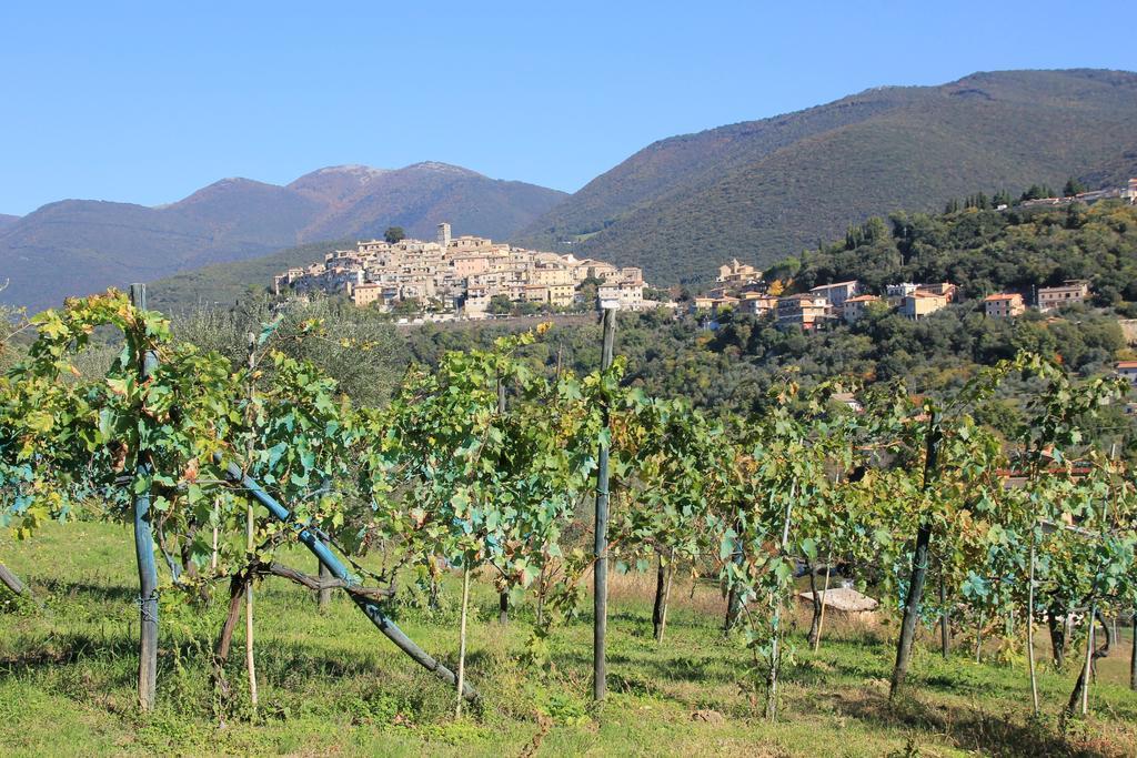 B&B Colle Perrini Country House Casperia Eksteriør billede