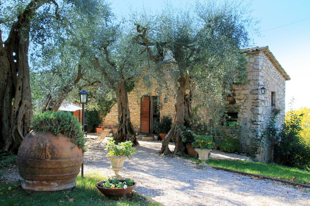 B&B Colle Perrini Country House Casperia Eksteriør billede